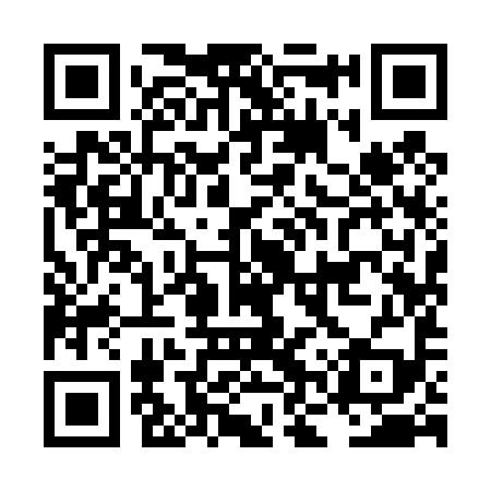 QR code for LNY499