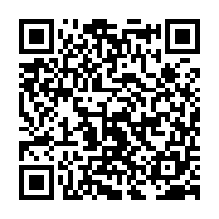 QR code for LNY955