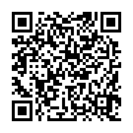 QR code for LOI384