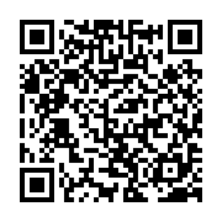 QR code for LOM295