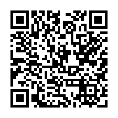 QR code for LOM383