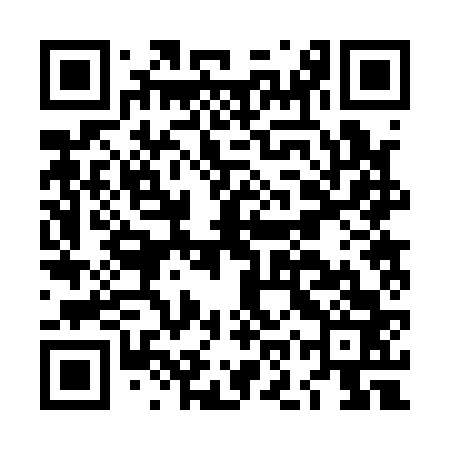 QR code for LOR163