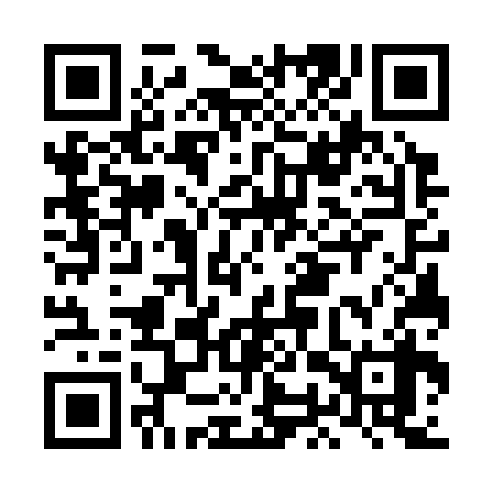 QR code for LOW338