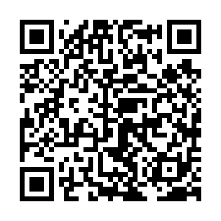 QR code for LOX611