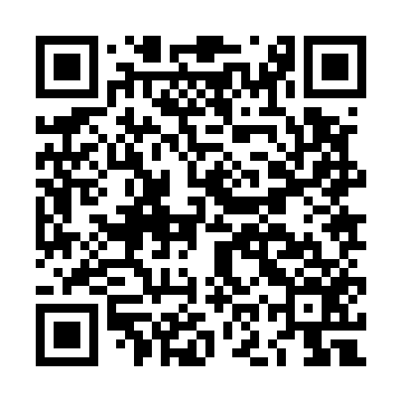 QR code for LOZ556