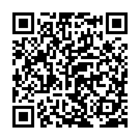 QR code for LOZ989