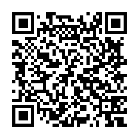 QR code for LPA878