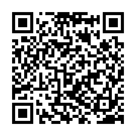QR code for LPG333