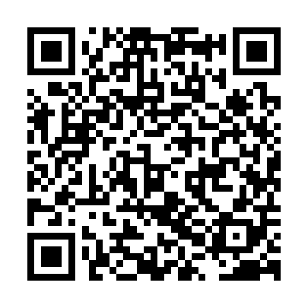 QR code for LPI308