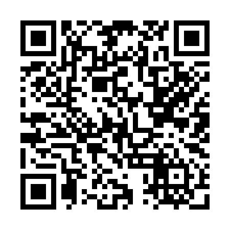 QR code for LPI394