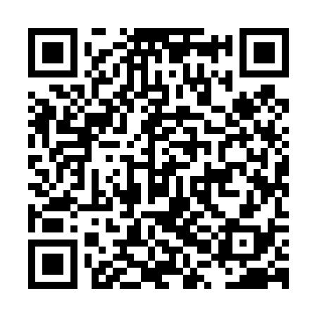 QR code for LPI438