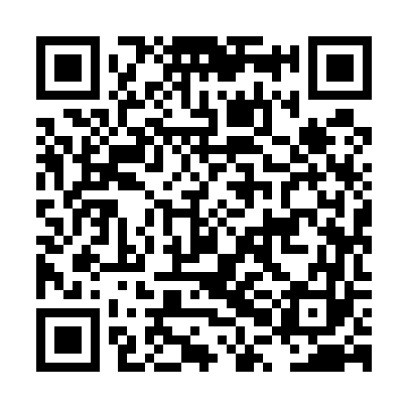 QR code for LPI563