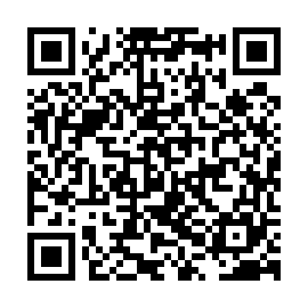 QR code for LPI565