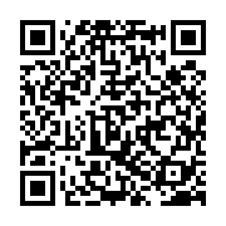QR code for LPI579