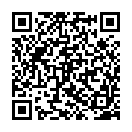 QR code for LPI992