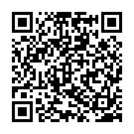 QR code for LPN133