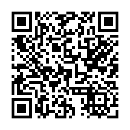 QR code for LPN333