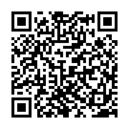 QR code for LPR133
