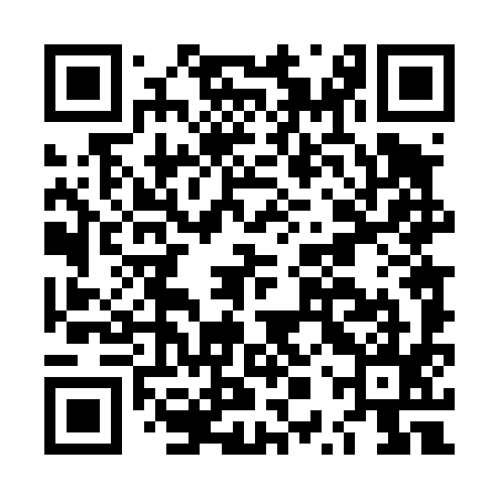 QR code for LPT495