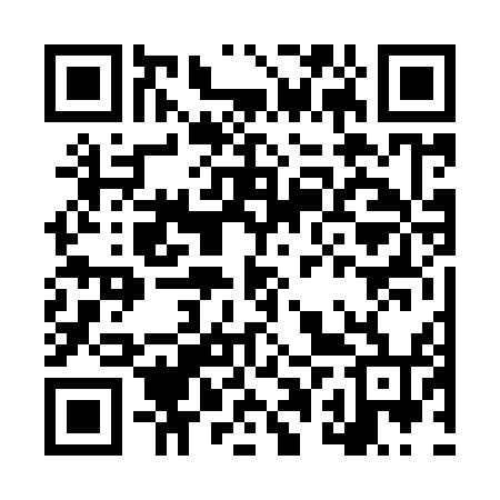 QR code for LPV954