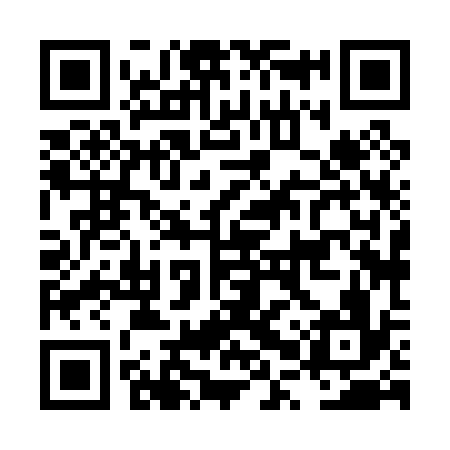 QR code for LPX036