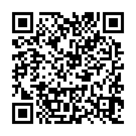 QR code for LQD383