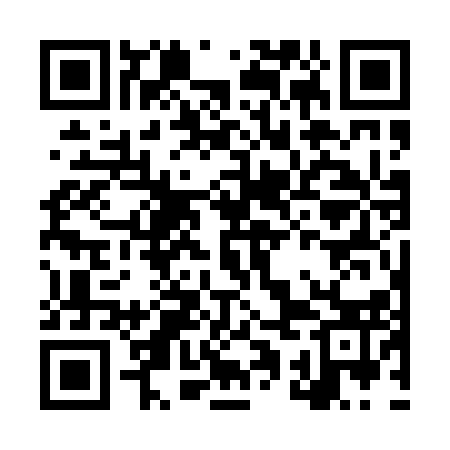 QR code for LQG013