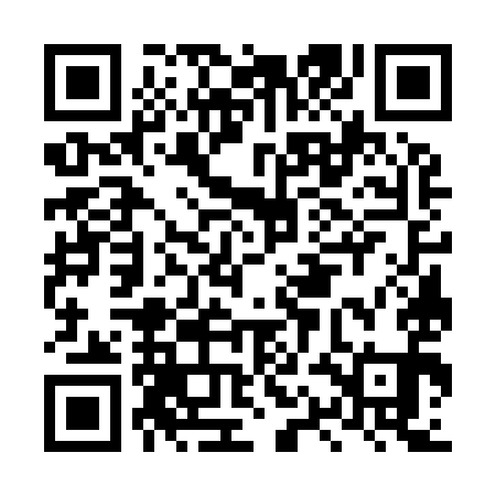 QR code for LQG991