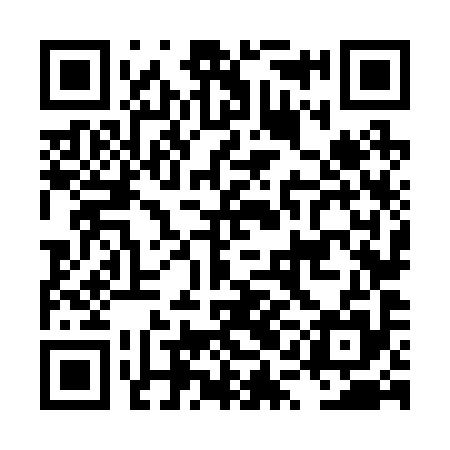 QR code for LQN295