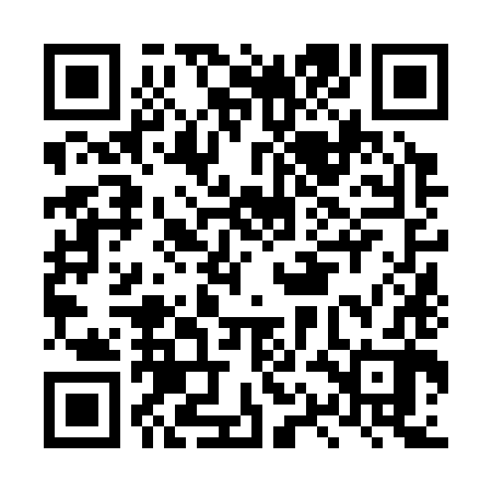 QR code for LQN382