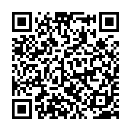 QR code for LQS991