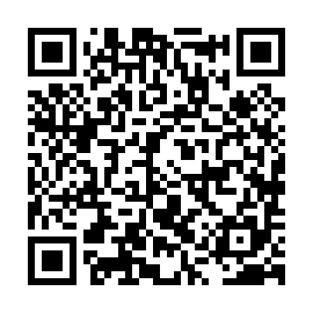 QR code for LQX095