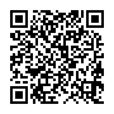 QR code for LRG991