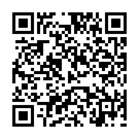 QR code for LRI390