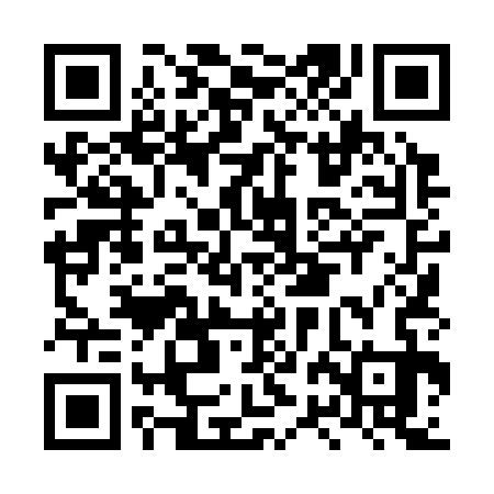 QR code for LRL333