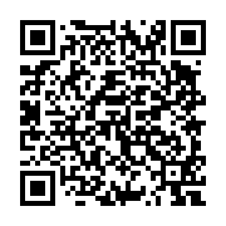 QR code for LRM491