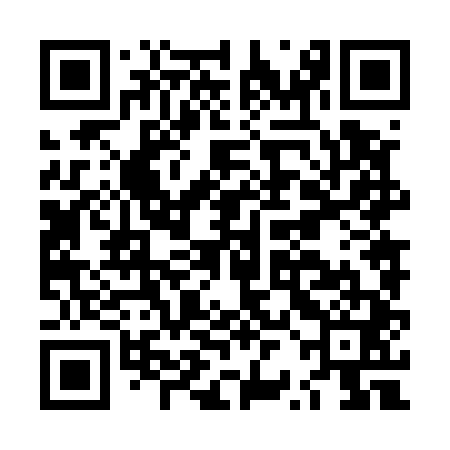 QR code for LRN541