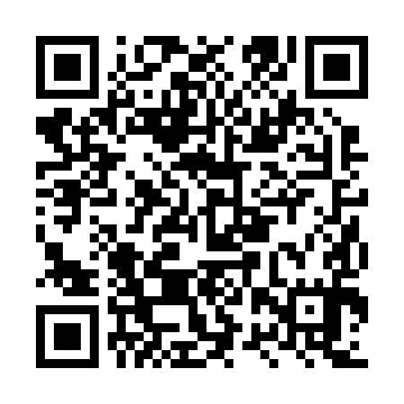 QR code for LRR295