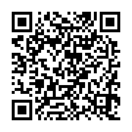 QR code for LSD370