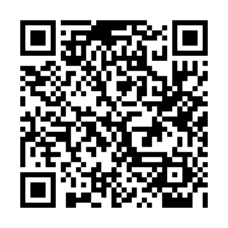 QR code for LSE203