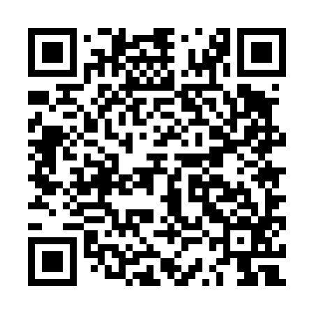 QR code for LSE496