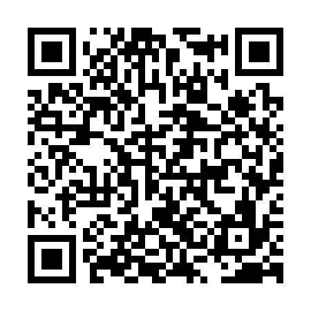 QR code for LSG336
