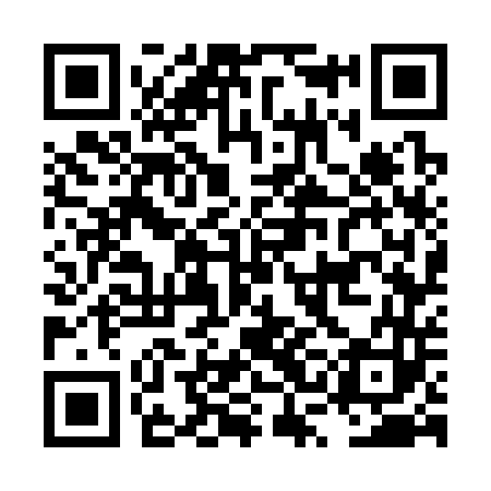 QR code for LSG343