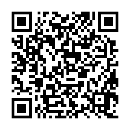 QR code for LSG386