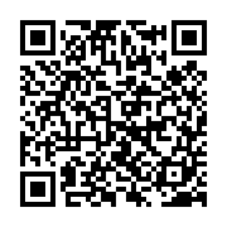 QR code for LSG441