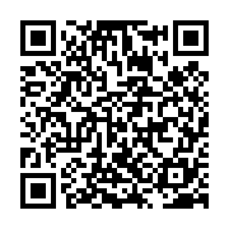 QR code for LSG475