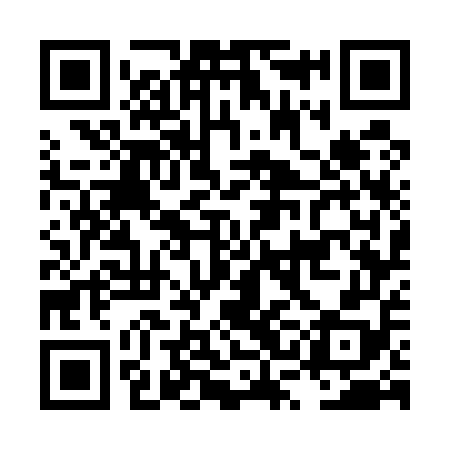 QR code for LSG558