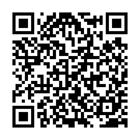 QR code for LSG685