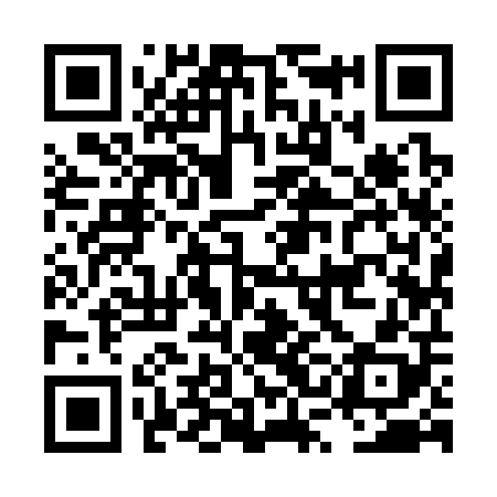 QR code for LSI308