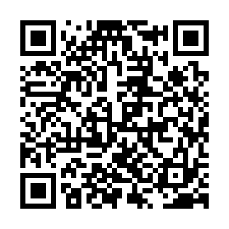 QR code for LSI333